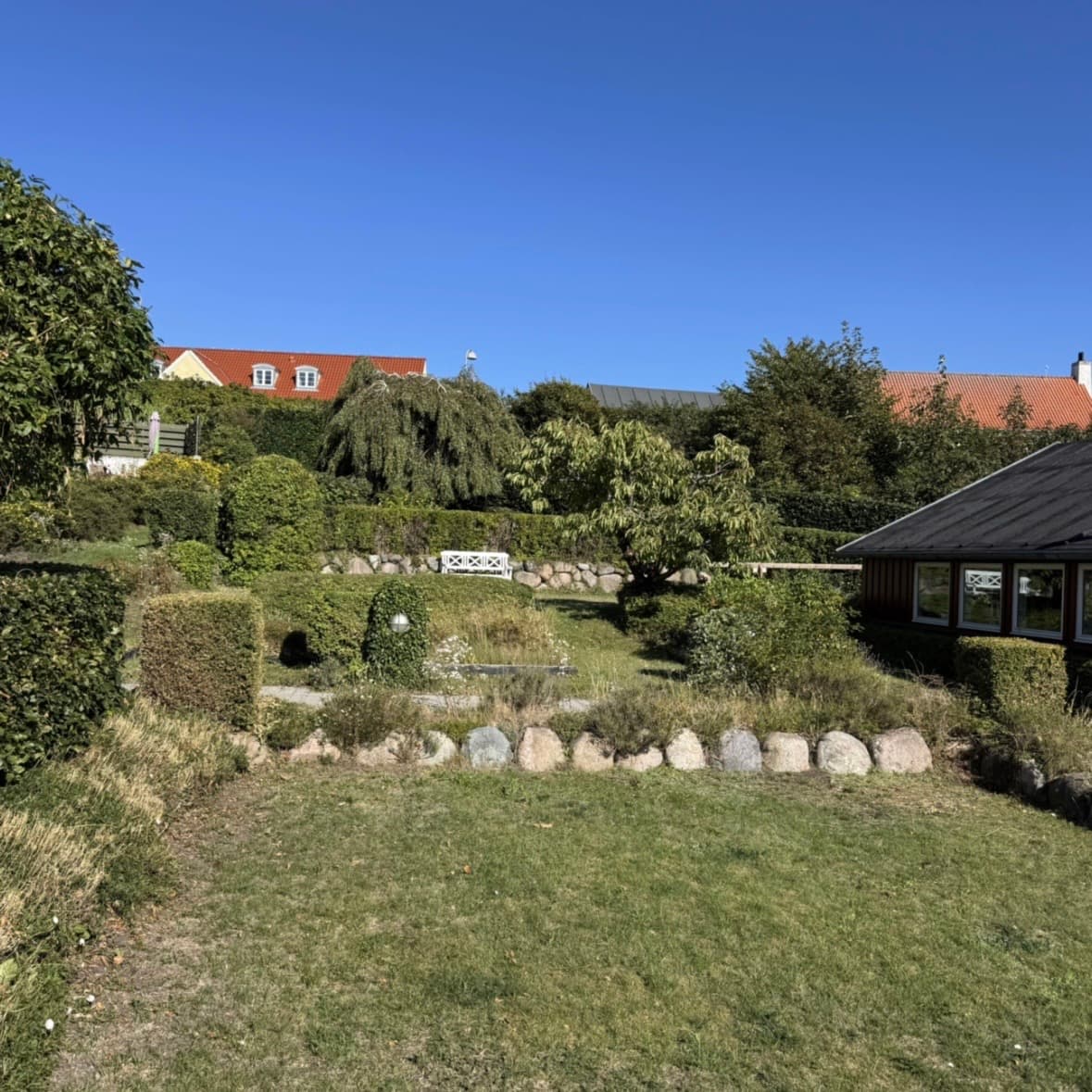 Oprydning af grene og stammer efter træarbejde